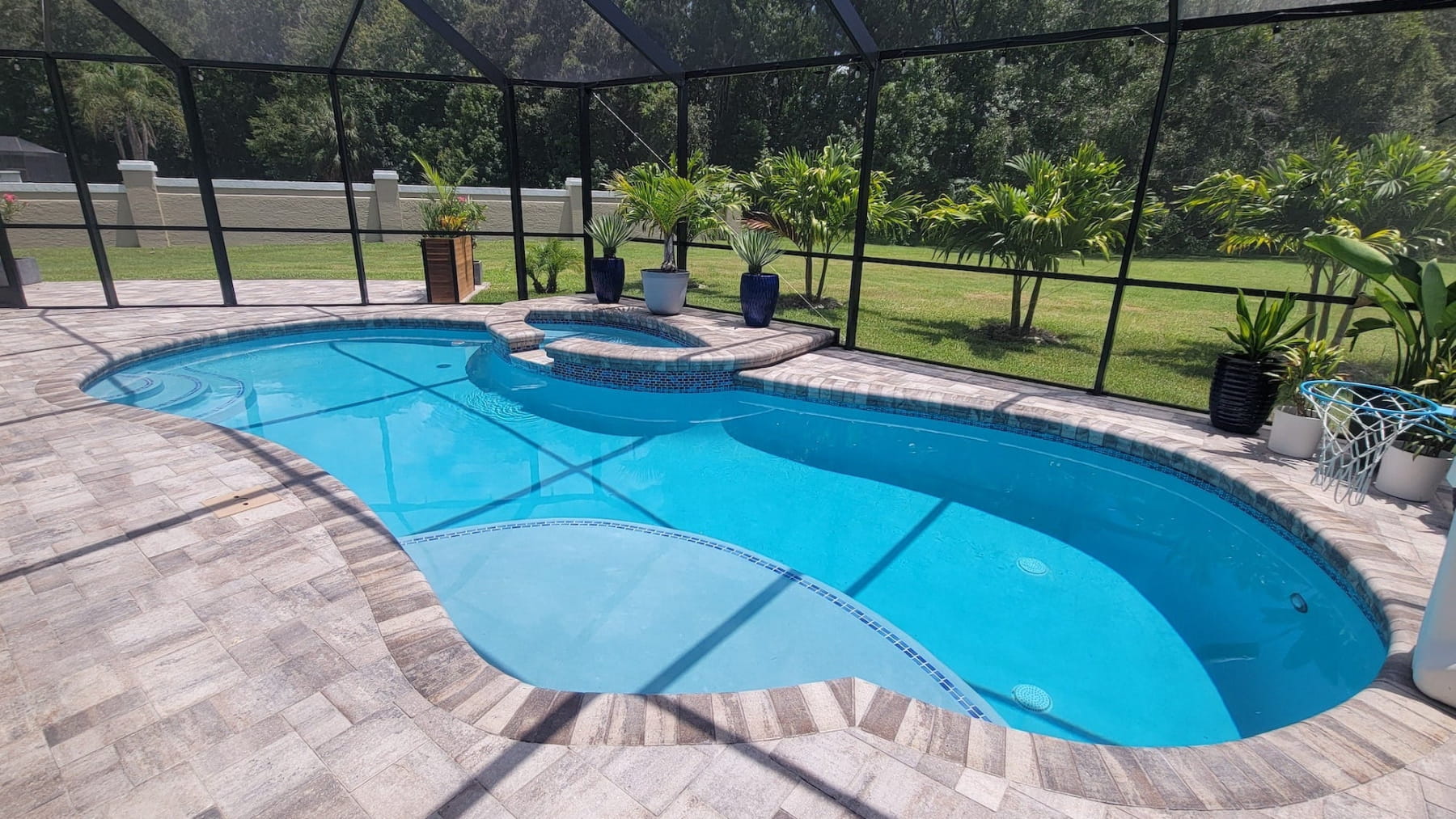 Swimming pool with a screened-in patio area surrounded by greenery. Contact GPS Pools, Tampa's swimming pool experts