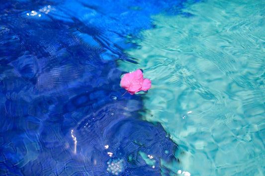 Pool clarifier 
