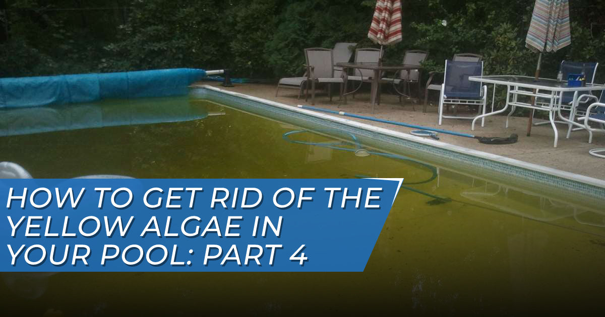 Yellow Pool Bottom How To Get Rid Of The Yellow Algae In Your Pool: Part 4 – GPS-Pools