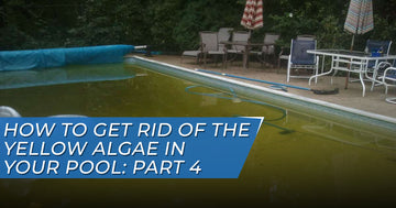 How To Get Rid Of The Yellow Algae In Your Pool: Part 4