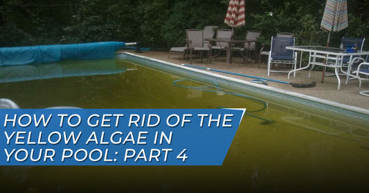 How To Get Rid Of The Yellow Algae In Your Pool: Part 4