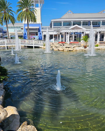 GPS Pools water features, tampa's swimming pool experts