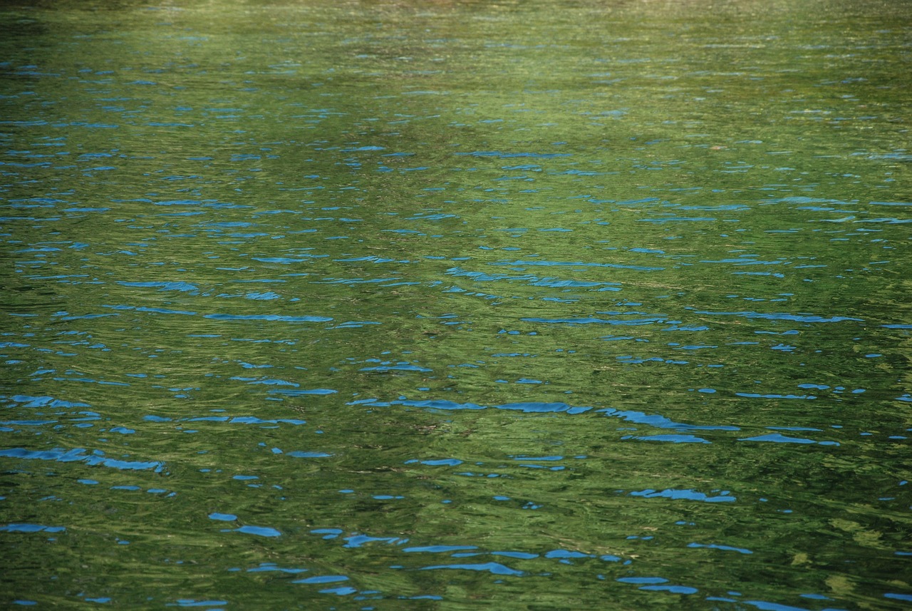 Image of green pool water.